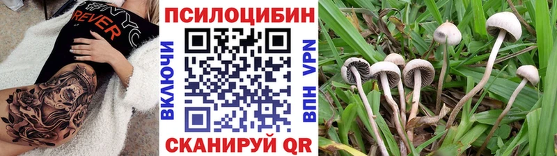 Галлюциногенные грибы GOLDEN TEACHER  Гурьевск 